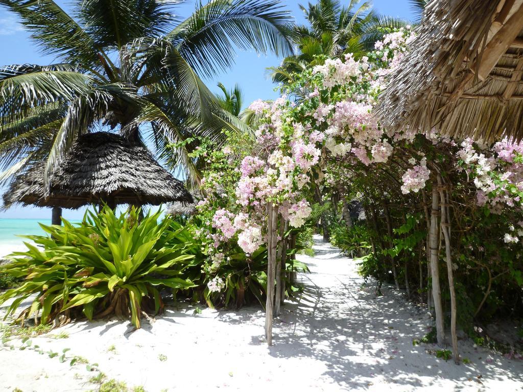 Paradise Beach Bungalows Падже Экстерьер фото